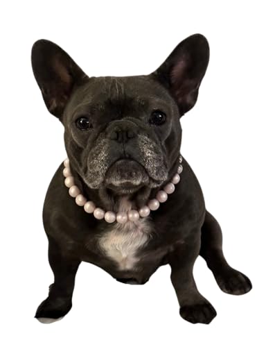 Dog Necklace (Large (19-21"), Solid, Pink Pearl)