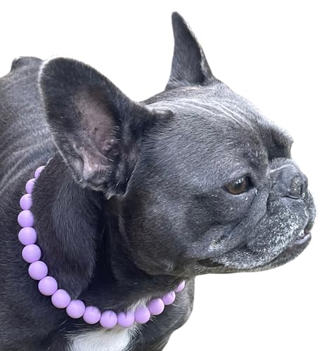 Dog Necklace (X-Large (24"), Solid, Lavender)