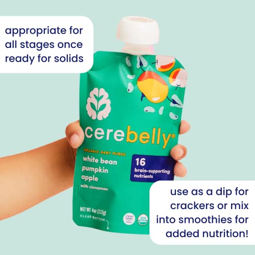 Cerebelly Organic Baby Food Pouches – Organic Veggie Purees for Toddlers | No Added Sugar, Fiber, Non-GMO | Blended Toddler Food | 4oz BPA-Free Baby Food | Carrot Pumpkin | 6 Count