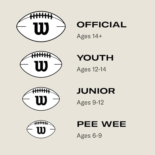 WILSON NFL Super Grip Composite Footballs