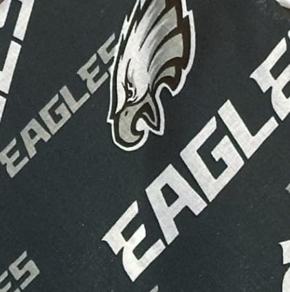 Philadelphia Pet Bandana (X-Small)