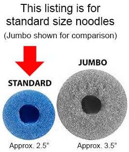 Oodles of Noodles 6 Pack Black Foam Pool Noodles – 48” x 2.5” Hollow Core – Extra Dense, Durable – Made in North America