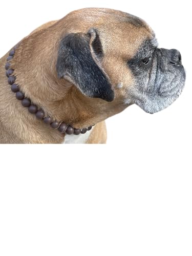 Dog Necklace (Large (19-21"), Solid, Brown)