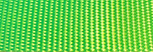 Cattle Halter Newborn Calf Yearling Cow Bull (Bull, Lime Green)