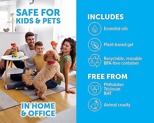 Bright Air 14 oz. Super Odor Eliminator, For Medium-Size Spaces, Cool & Clean Scent, Case of 6,Air Freshener, Natural Essential Oils, Lasts Up to 90 Days Each