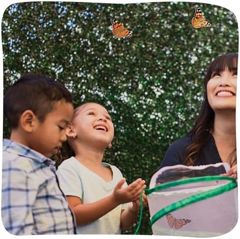 Insect Lore Raise and Release Butterfly Garden Kit – Caterpillar Habitat with redeemable Voucher – STEM-accredited Live Butterfly Growing Kit for Kids, Classrooms, and Homeschool Learning