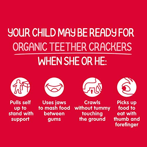 Happy Baby Organics Baby Snacks, Gentle Teething Crackers, Gluten Free & Vegan, Strawberry & Beet, 12 Count (Pack of 6)