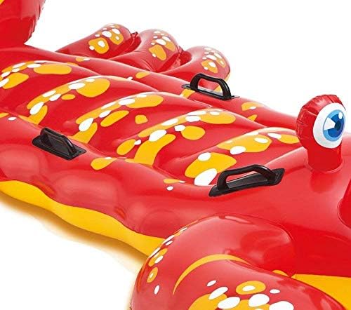 INTEX Inflatable Pool Float: Pool Toy for Kids