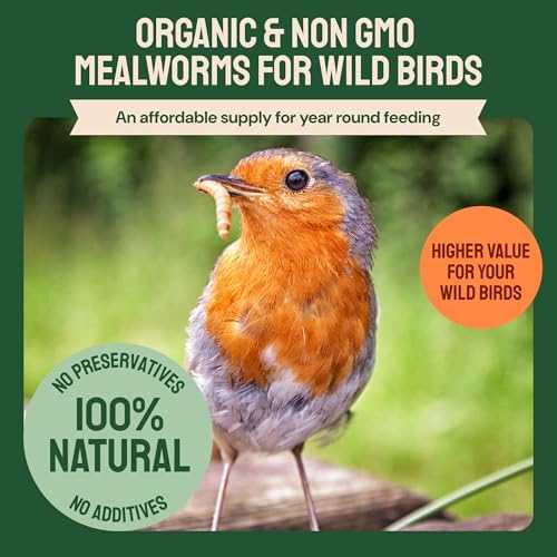 Dried Mealworms for Wild Birds 2 lbs – Non GMO High Protein Mealworms for Chickens and Laying Hens - Turtle Food - Chicken Feed