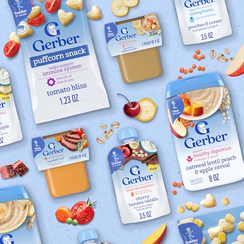 Gerber Baby Food 2nd Foods, Dinner, Chicken Noodle Puree, 4 Ounce Tubs, 2-Pack (Pack of 8)