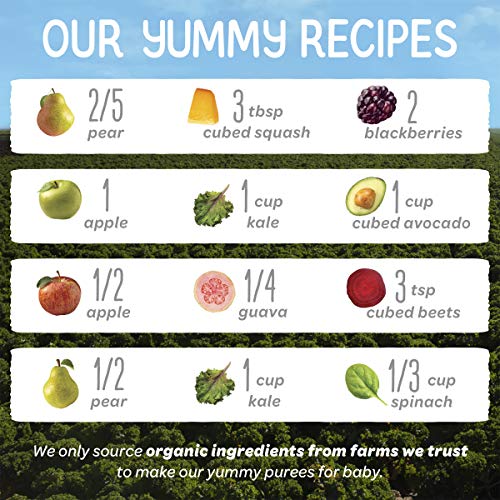 Happy Baby Organics Stage 2 Baby Food Pouches, Gluten Free, Vegan & Healthy Snack, Clearly Crafted Fruit & Veggie Puree, Fruit & Veggie Variety Pack, 4 Ounces (Pack of 16), Amazon Exclusive