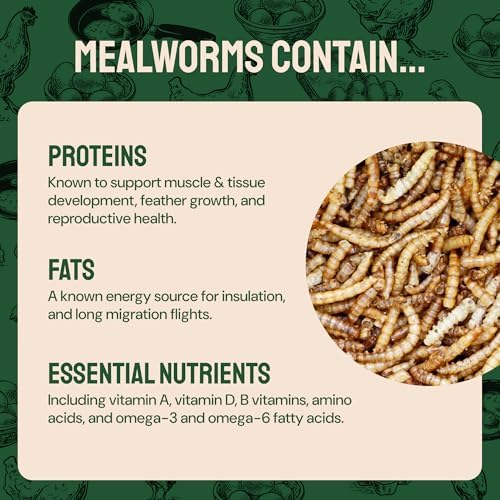 Dried Mealworms for Wild Birds 2 lbs – Non GMO High Protein Mealworms for Chickens and Laying Hens - Turtle Food - Chicken Feed