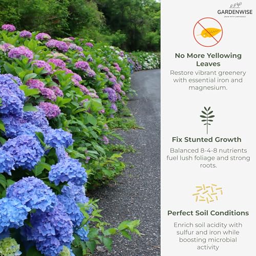 Slow Release Hydrangea Fertilizer with Iron & Sulfur β Indoor & Outdoor Soil Acidifier for Miracle Growth (1 qt)