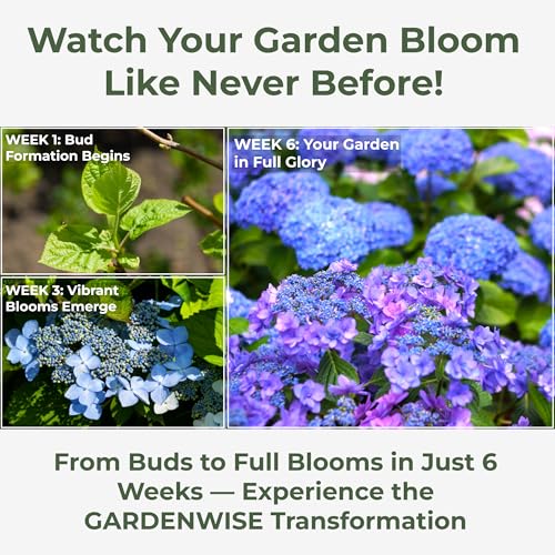 Slow Release Hydrangea Fertilizer with Iron & Sulfur β Indoor & Outdoor Soil Acidifier for Miracle Growth (1 qt)