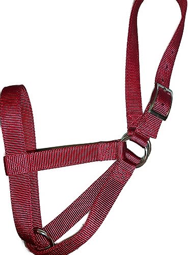 Cattle Halter Newborn Calf Yearling Cow Bull (Cow, Red)