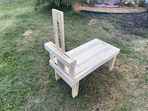 Rugged Cross Creations Hoof Trimming and Dwarf Goat Milking Stand(Base Package)