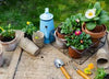 Home & Garden