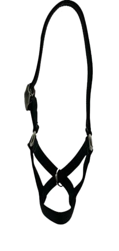 Cattle Halter Newborn Calf Yearling Cow Bull (Cow, Forest Green)