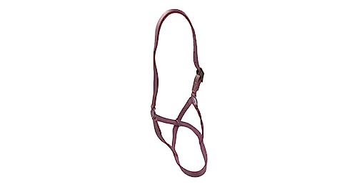 Cattle Halter Newborn Calf Yearling Cow Bull (Bull, Blue)