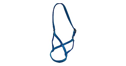 Cattle Halter Newborn Calf Yearling Cow Bull (Bull, Blue)