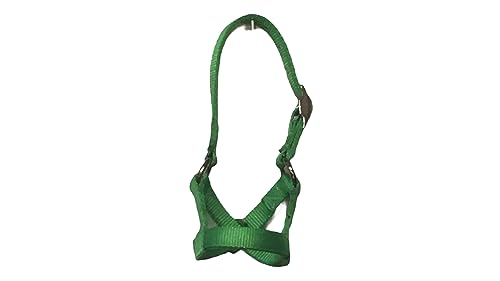 Cattle Halter Newborn Calf Yearling Cow Bull (Calf, Forest Green)
