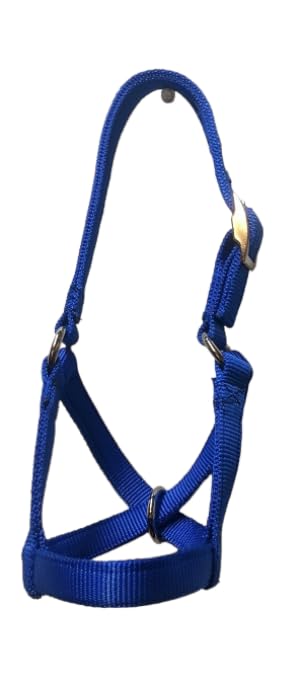 Cattle Halter Newborn Calf Yearling Cow Bull (Calf, Blue)
