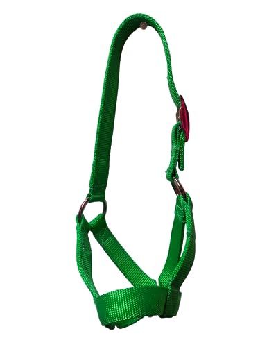 Cattle Halter Newborn Calf Yearling Cow Bull (Calf, Lime Green)