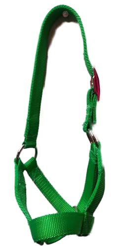 Cattle Halter Newborn Calf Yearling Cow Bull (Yearling, Lime Green)