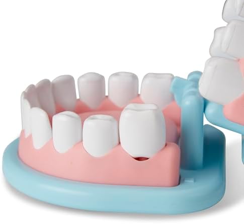 Melissa & Doug Super Smile Dentist Kit with Pretend Play Set of Teeth and Dental Accessories (25 Toy Pieces) Pretend Dentist Play Set, for Kids Ages 3+