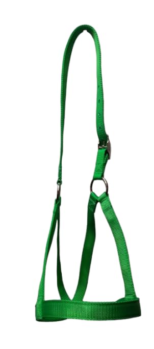 Cattle Halter Newborn Calf Yearling Cow Bull (Bull, Forest Green)