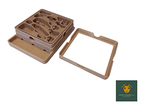 Carpenter Ant Nest, Gen 2 (Medium, Wood Like)