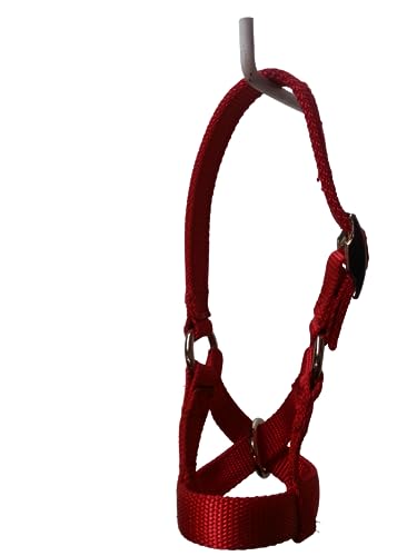 Cattle Halter Newborn Calf Yearling Cow Bull (Cow, Red)