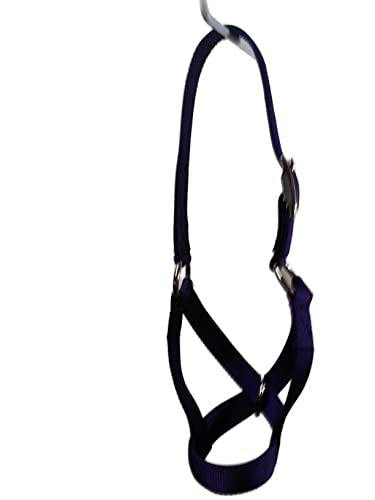 Padded Cattle Halter Newborn Calf Yearling Cow Bull (Calf, Black)
