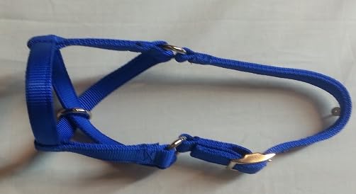 Cattle Halter Newborn Calf Yearling Cow Bull (Bull, Blue)