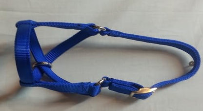 Cattle Halter Newborn Calf Yearling Cow Bull (Bull, Blue)