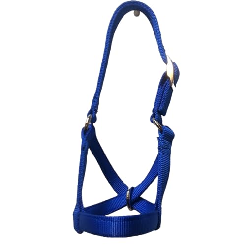 Cattle Halter Newborn Calf Yearling Cow Bull (Newborn, Blue)