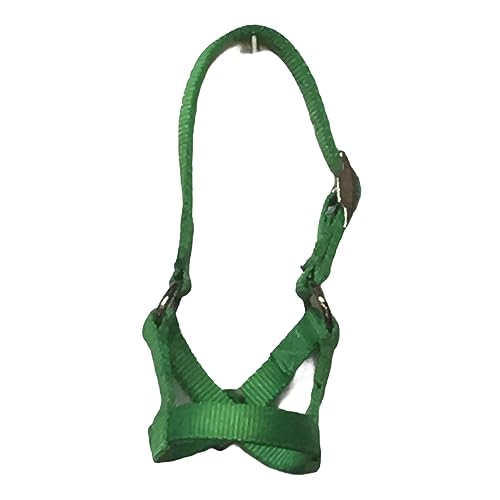 Cattle Halter Newborn Calf Yearling Cow Bull (Newborn, Forest Green)
