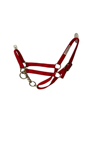 Cattle Halter Newborn Calf Yearling Cow Bull (Yearling, Purple)