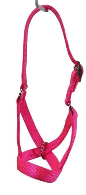 Cattle Halter Newborn Calf Yearling Cow Bull (Calf, Orange)