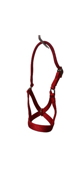 Cattle Halter Newborn Calf Yearling Cow Bull (Calf, Red)