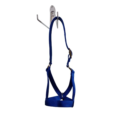 Cattle Halter Newborn Calf Yearling Cow Bull (Yearling, Blue)
