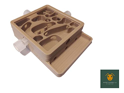 Carpenter Ant Nest, Gen 2 (Medium, Wood Like)