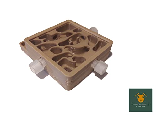 Carpenter Ant Nest, Gen 2 (Medium, Wood Like)