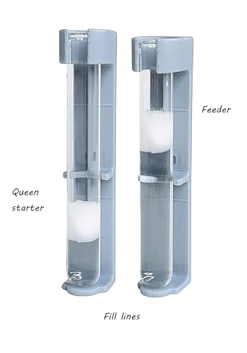 Queen Ant Starter Nest, Glass Test Tube Kit (Version 2) (Gray, 20mm)