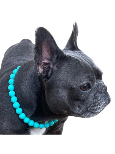 Dog Necklace (X-Small (12"), Solid, Turquoise)