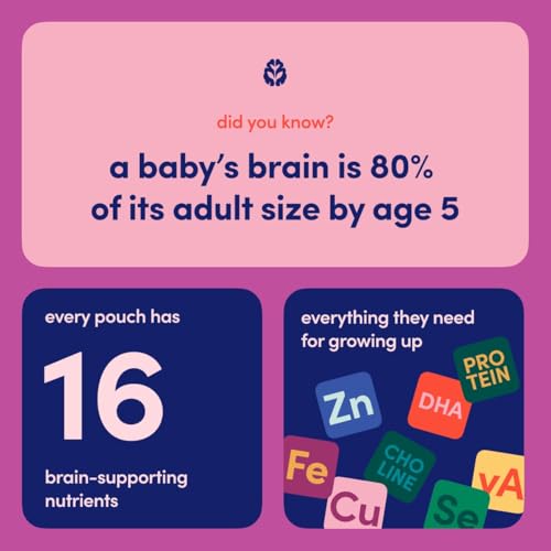 Cerebelly Organic Baby Food Pouches – Dairy Free Smoothies for Toddlers | No Added Sugar, Fiber, Non-GMO | Toddler Smoothie Pouches | 4oz BPA-Free Baby Food | Sweet Potato Banana Blueberry | 6 Count