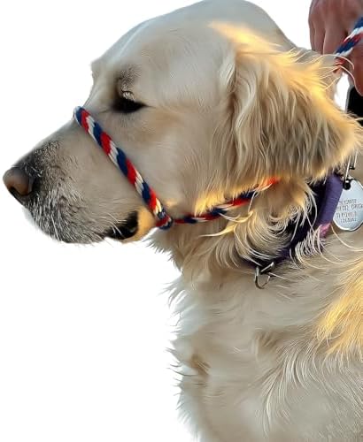 Not So Fast Rover No-Pull Dog Headcollar - The Most Innovative Solution to Pulling - Corrects Your Dog's Pulling for Easier Walks - Allows You to Gain Control (Red, White and Blue)