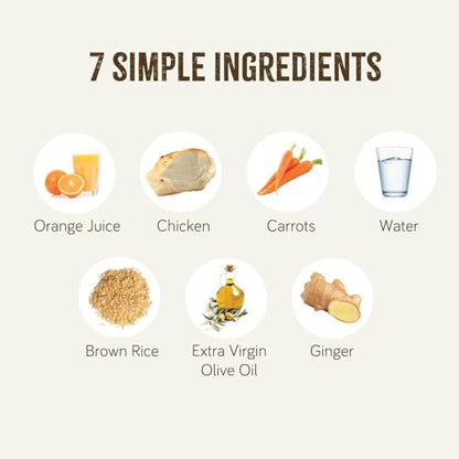 Real Food Blends Chicken, Carrots & Brown Rice - Pureed Food Meals for Tube Feeding with Protein, Vegetables & Fruits - 340 Calories for Lunch & Dinner - 9.4 oz (Pack of 12)