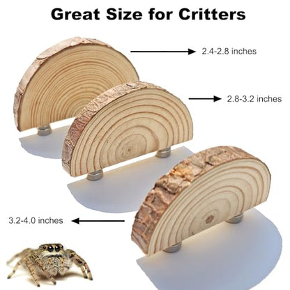 3 Pack Jumping Spider Enclosure Climbing Platforms, Magnetic Jumping Spider Wooden Ledge Ladder, Jumping Spider Accessories, Habitat Decor for Small Light Critters