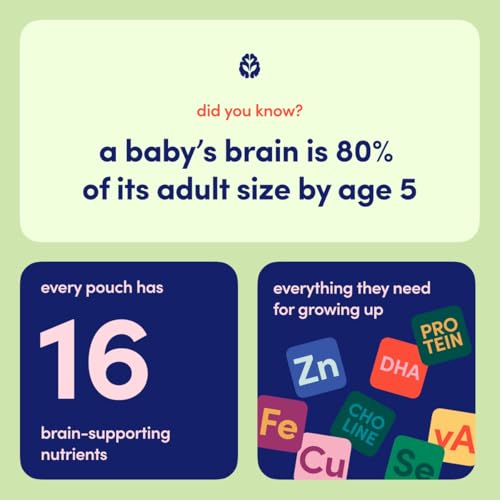Cerebelly Organic Baby Food Pouches – Dairy Free Smoothies for Toddlers | No Added Sugar, Fiber, Non-GMO | Toddler Smoothie Pouches | 4oz BPA-Free Baby Food | Celery Apple Kiwi | 12 Count